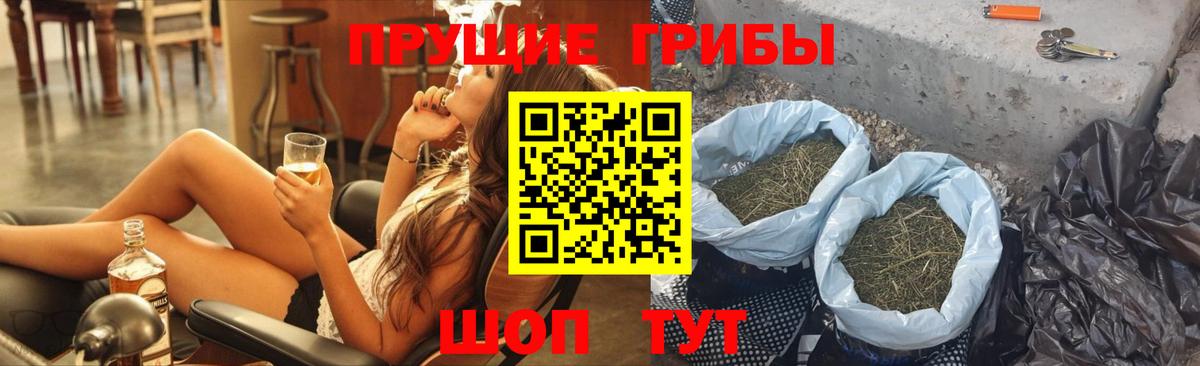 Псилоцибиновые грибы MAGIC MUSHROOMS  Вход с VPN  что такое   Мирный  Псилоцибиновые грибы GOLDEN TEACHER 